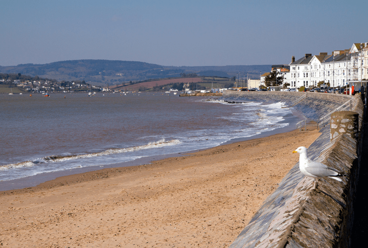 Exmouth - play games and walk the Jurassic Coast